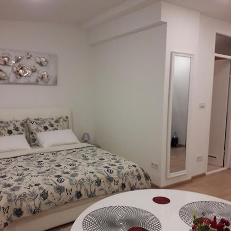 Apartman Mmvg Studio Zagreb Airport Velika Gorica Exterior foto